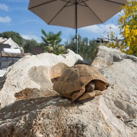 Stonehouse Marina * Vrsine