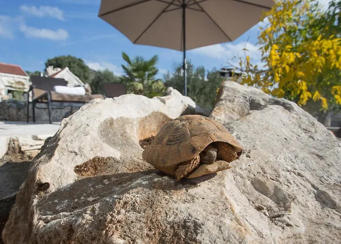 Stonehouse Marina * Vrsine